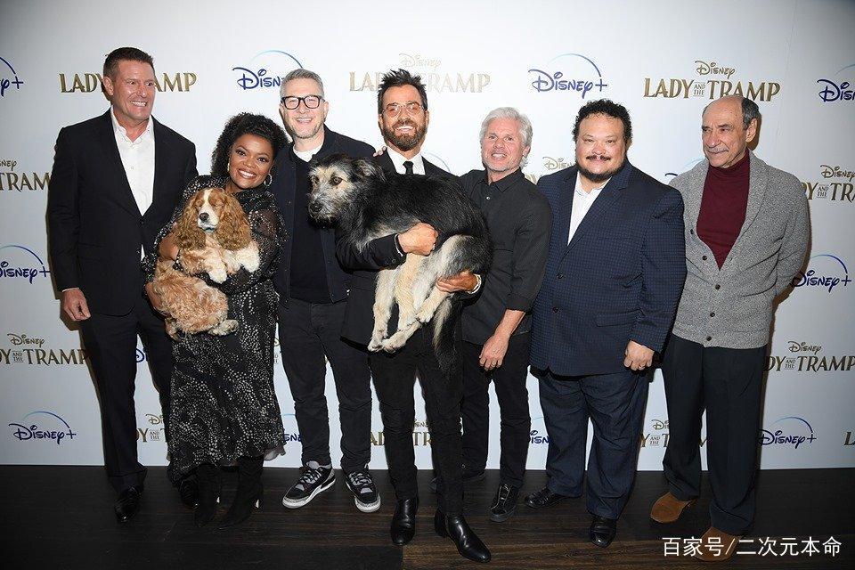 迪士尼《小姐与流浪汉》真狗版登场，狗狗出席首映会表示一脸懵