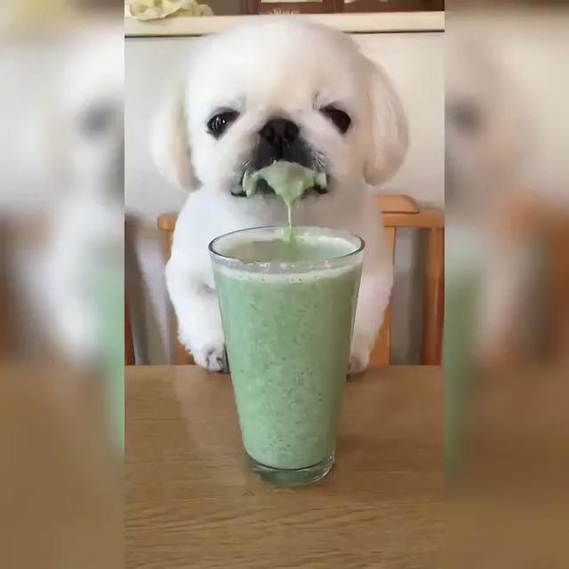 闲聊《黑社会的超能力女儿》十大问题之——大姐二姐你更喜欢谁？