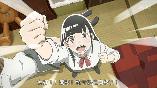 再不去南极，青春就要跑了