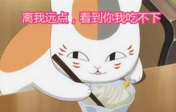 说到关于猫的角色你会想到谁？日媒投票动画中最受欢迎的猫系角色