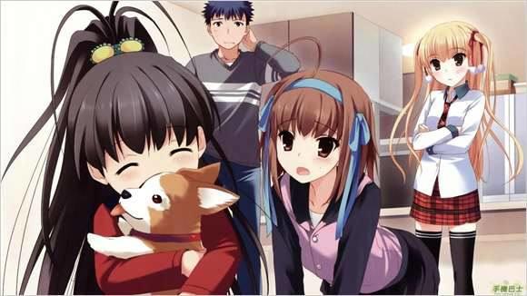 动漫：这些打着战斗番幌子的后宫番，你知道吗？