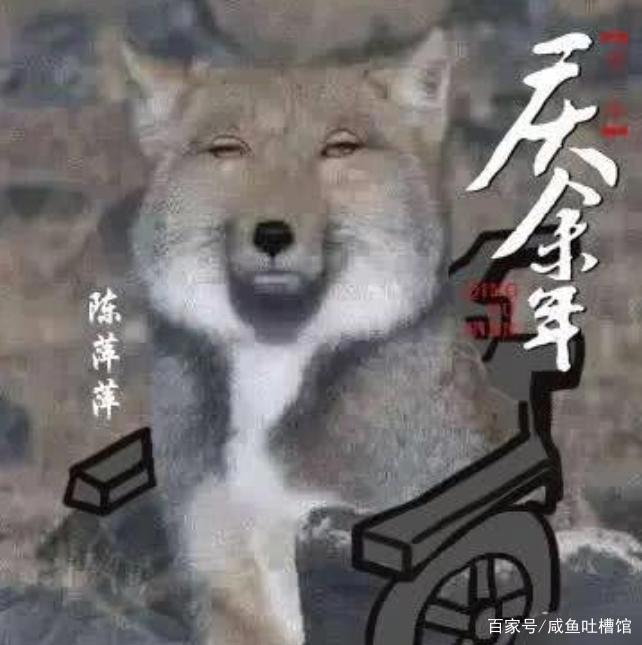 《庆余年》角色名字全解析