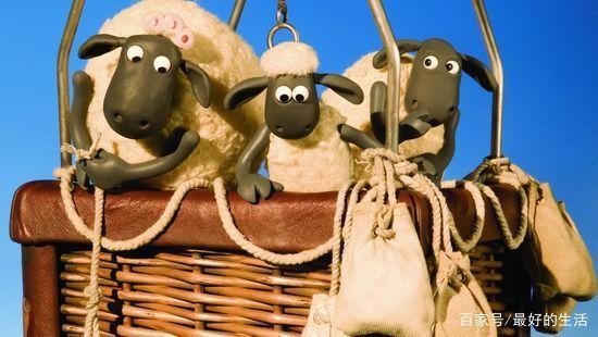 这只“英国羊”来长沙了！曾经那片葡萄园可还够折腾？