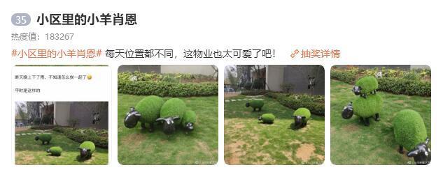 “小区里的小羊肖恩”上热搜，网友：这物业有颗可爱的心