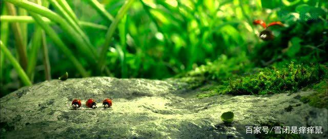 全片无台词，对话靠脑补，看过这三部动画片的人都不简单