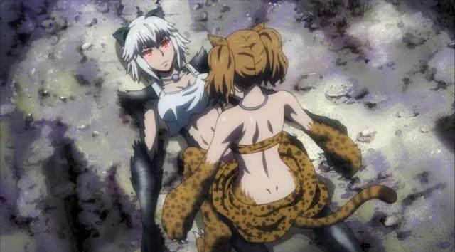 《牙斗兽娘》别人都在打生打死，平头姐却在橘里橘气