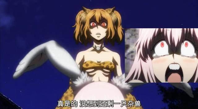 《牙斗兽娘》一块石头的胜利，0战力呆萌兔子躺赢吃鸡！