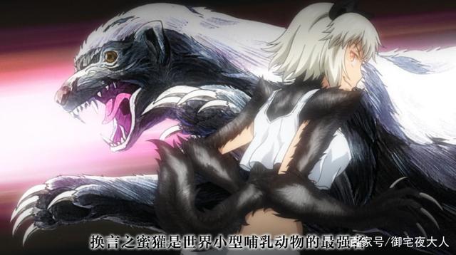 《牙斗兽娘》推荐，兽娘系终于进化到这一步，热血、生存、战斗！