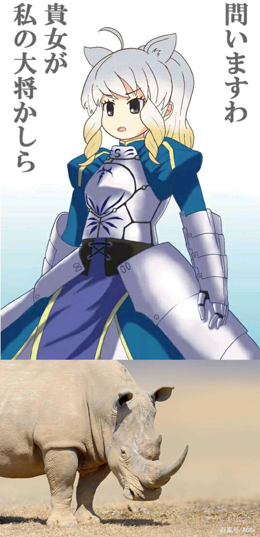 《兽娘动物园》中的濒危动物们，现在究竟怎么样了？