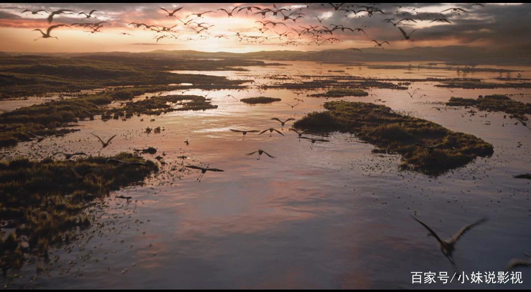 儿时经典动漫出“真人版”！《狮子王》时隔多年风头未减！