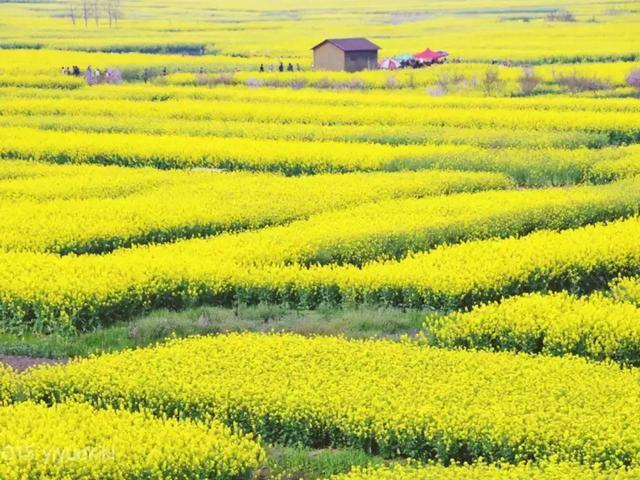 3月最值得去的十个地方，第五个居然是去美人谷“调戏”仙女！