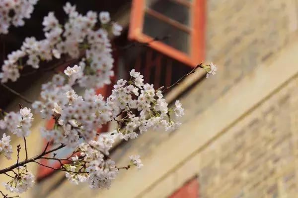 3月最值得去的十个地方，第五个居然是去美人谷“调戏”仙女！