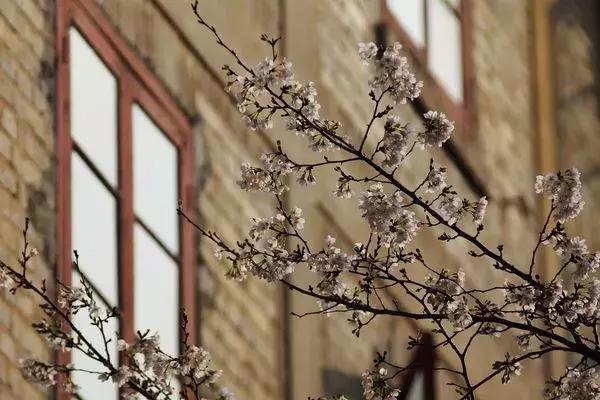 3月最值得去的十个地方，第五个居然是去美人谷“调戏”仙女！