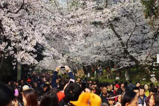 3月最值得去的十个地方，第五个居然是去美人谷“调戏”仙女！