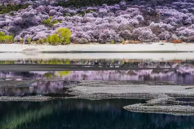 3月最值得去的十个地方，第五个居然是去美人谷“调戏”仙女！