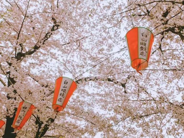 3月最值得去的十个地方，第五个居然是去美人谷“调戏”仙女！