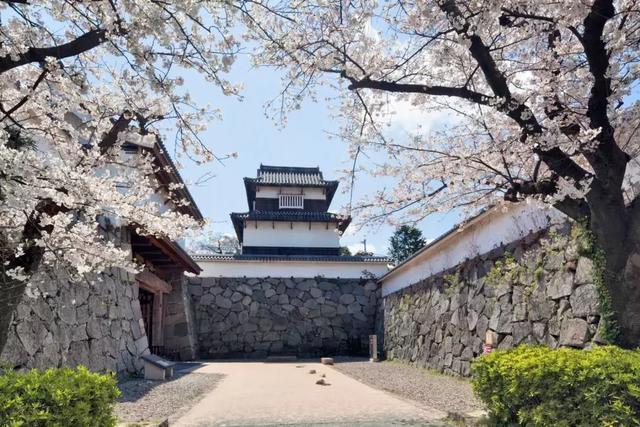 3月最值得去的十个地方，第五个居然是去美人谷“调戏”仙女！