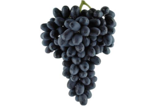 知识产权环球资讯｜中国黑客诉苹果专利侵权；首场元宇宙庭审开庭