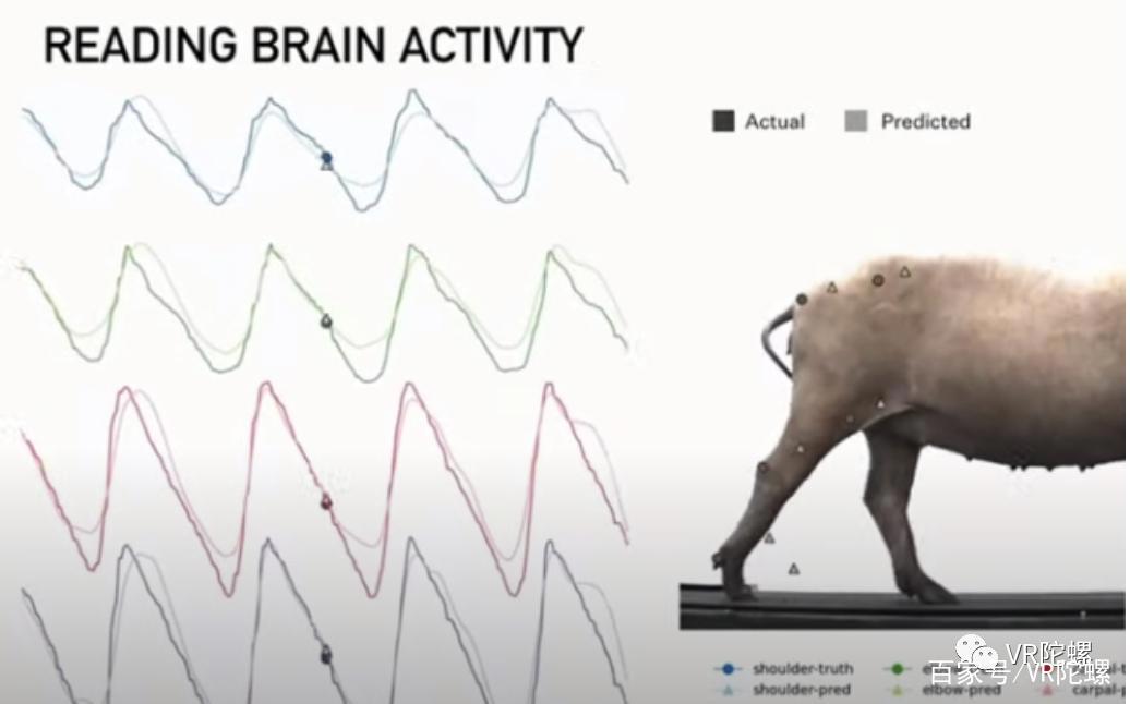 马斯克脑机设备获批人脑试验，“数字永生”时代真的要来了吗？