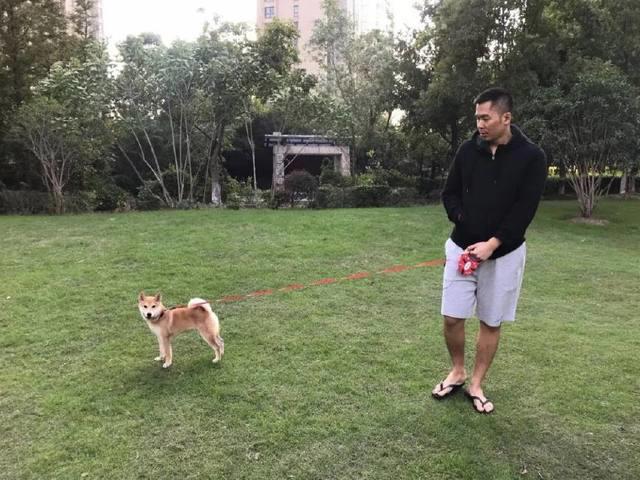 STN快报：在三重现实冲突之间游走