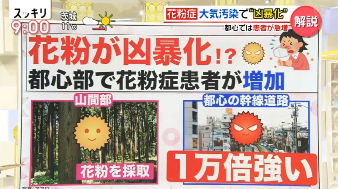 声优入野自由有助于缓解花粉症？原来只是一场误会