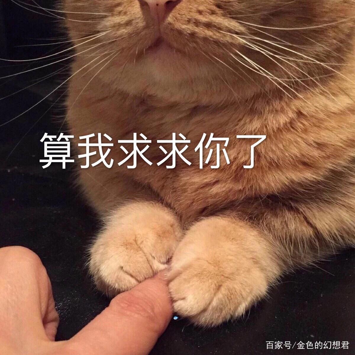 速看：《犬屋敷》一个人类的本质究竟是善还是恶……