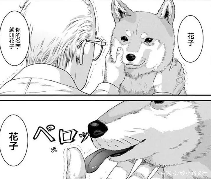 安利一部糟老头子拯救世界的动漫——奥浩哉《犬屋敷》