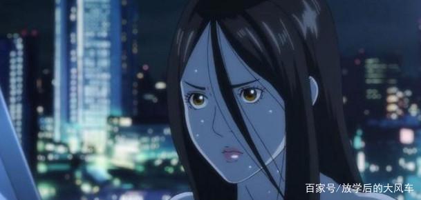 应该如何评价《犬屋敷》这部动漫呢？