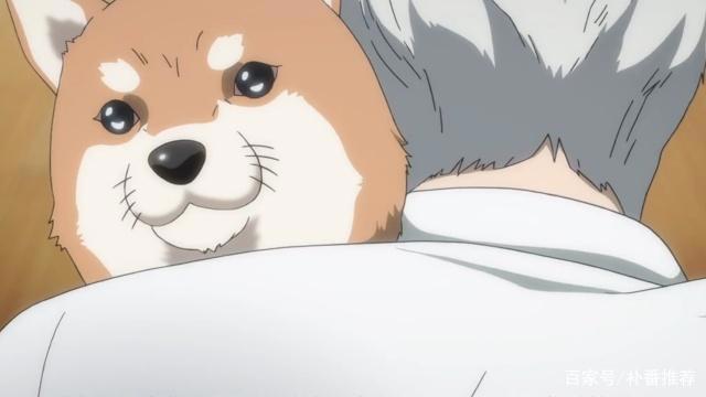 犬屋敷：血腥、色情、黑暗，却没有被封禁，各种讽刺但又极其真实