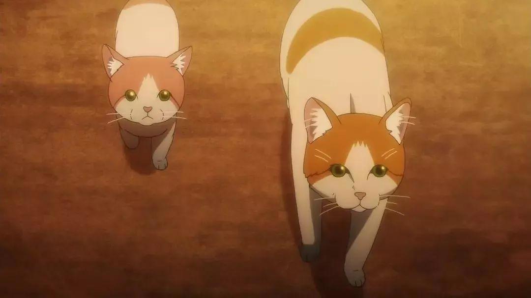 《犬屋敷》神真的存在吗