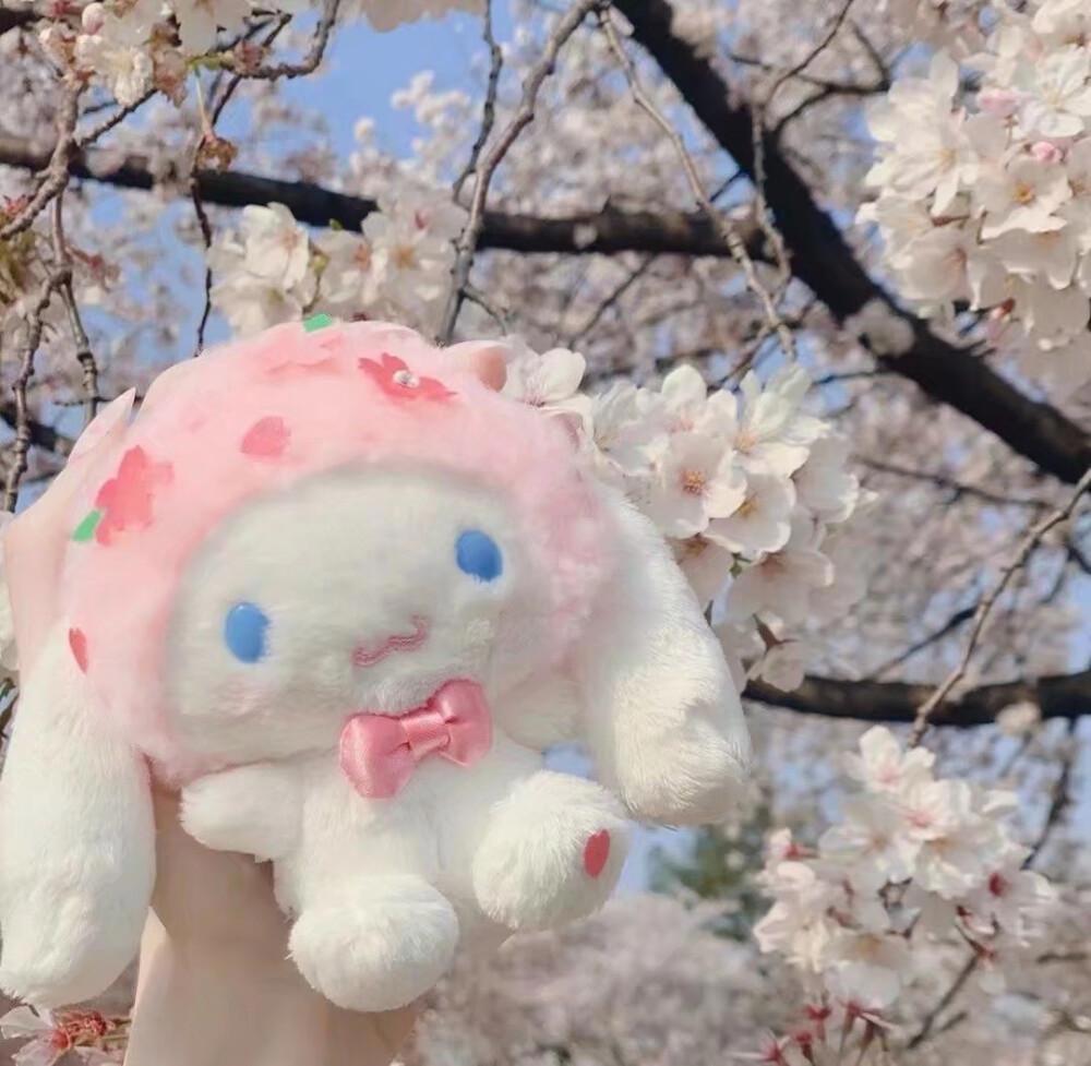 玉桂狗是男孩子，果然长得可爱的都是男孩子吗？