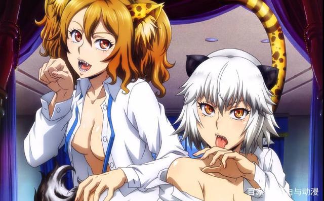 不吹不黑：一月番前十排名，这些番都很不错值得一看！