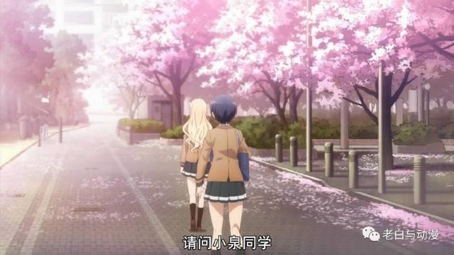 2018年1月新番测评｜《爱吃拉面的小泉同学》，喜欢面食的别错过