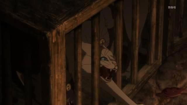 动物差别待遇话题：动画杀猫会反感为什么换成杀鱼就完全无感了？