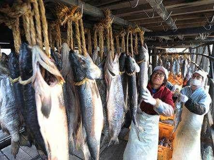 动物差别待遇话题：动画杀猫会反感为什么换成杀鱼就完全无感了？