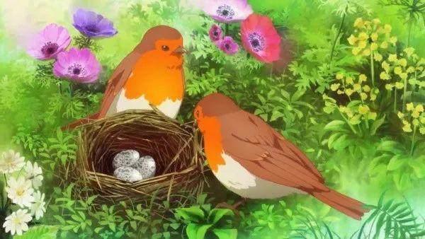 豆瓣8.3，却只有500人看过，这怎么行？