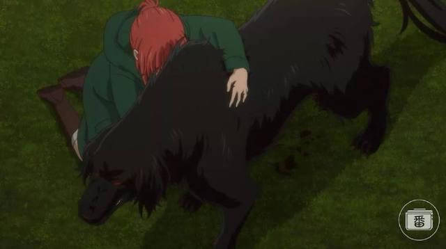 这部动画全程玛丽苏之余还揭示了生死的意义