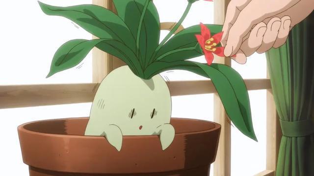 非人类与少女的奇幻故事，这部魔幻恋爱动漫，强推给你