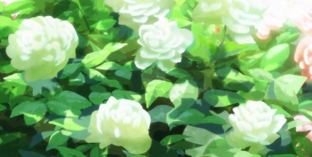 非人类与少女的奇幻故事，这部魔幻恋爱动漫，强推给你