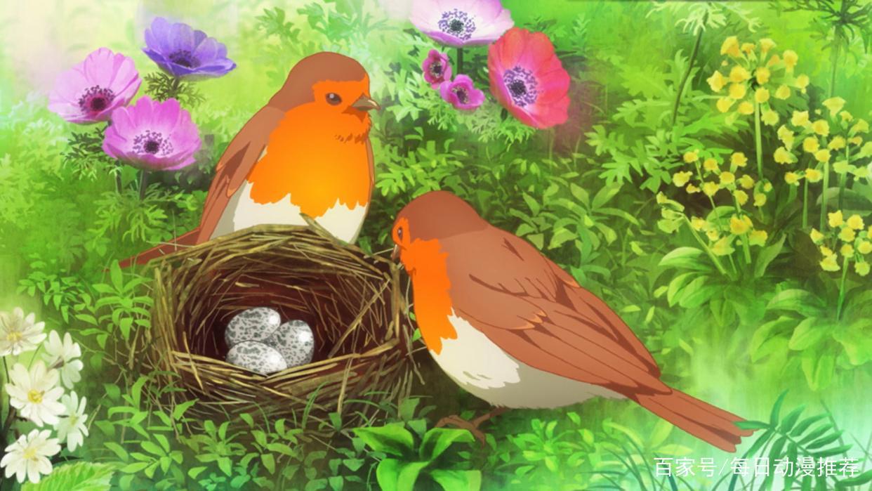 每日推荐：唯美的爱情-魔法使的新娘