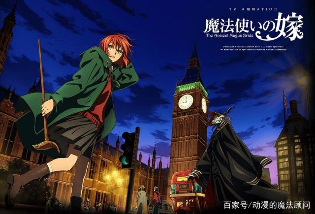 魔法使的新娘：两个特殊的人，一路走来，告诉你这个世界充满希望