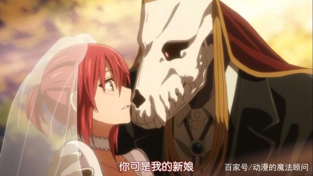 魔法使的新娘：两个特殊的人，一路走来，告诉你这个世界充满希望