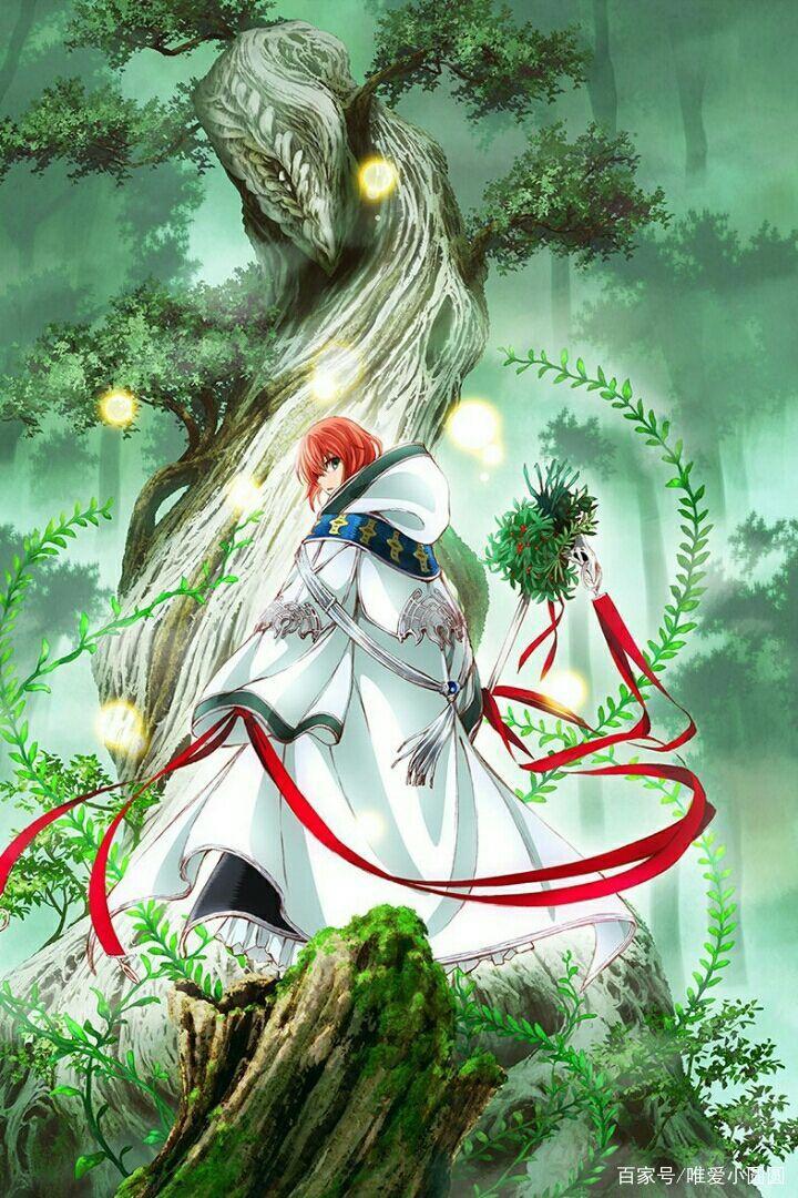 《魔法使的新娘》观后感