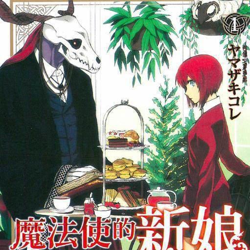 新番日榜第一的动漫难道你还没看这部魔法使的新娘？