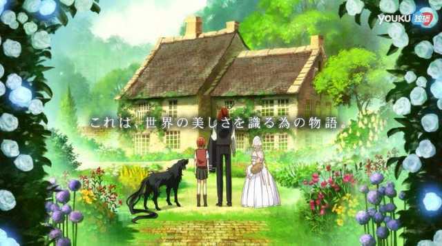 盘点《魔法使的新娘OVA——等待繁星的人》