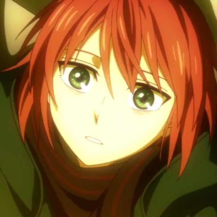 魔法使的新娘，非常好看的一部动漫，很治愈