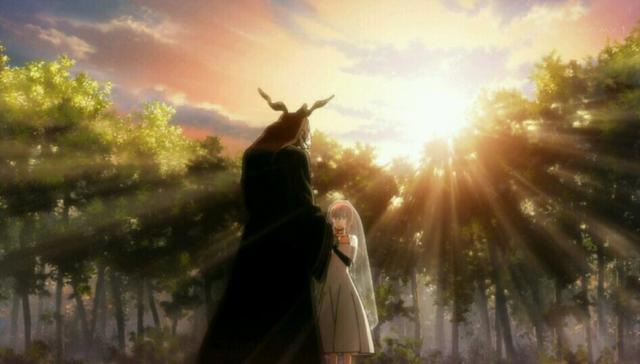 治愈系动漫《魔法使的新娘》