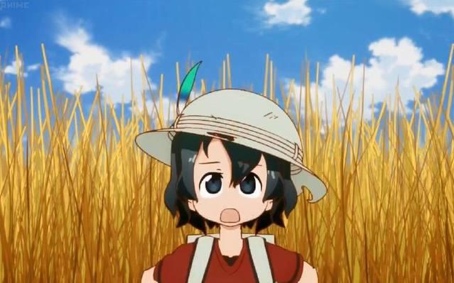 2017年最受欢迎动漫角色出炉！看看11区最喜欢的人是谁吧