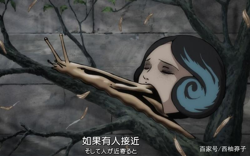 盘点成年人专属动画，学着保持一颗善良又浪漫的心