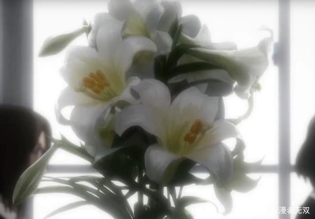 《伊藤润二惊选集》：没有人能杀死富江，她的毁灭只是新生